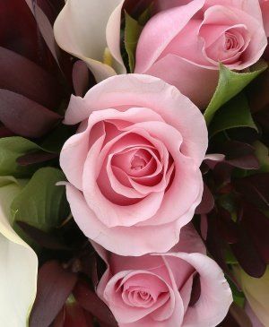 Imaginea produsului Opulență Eleganță