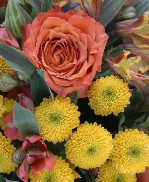 Imaginea produsului Legende Parfumate