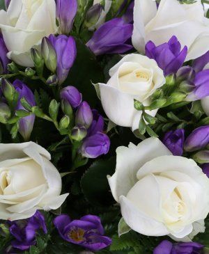 Imaginea produsului Afecţiune Secretă