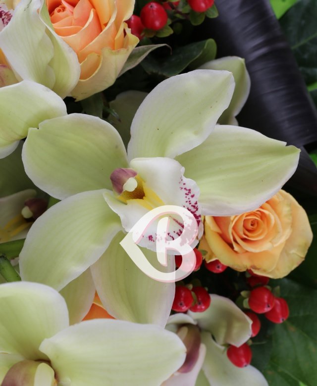 Compliment floral