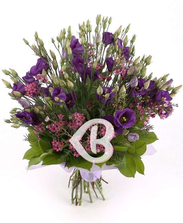 Imaginea produsului Sensibilitate Enigmatică