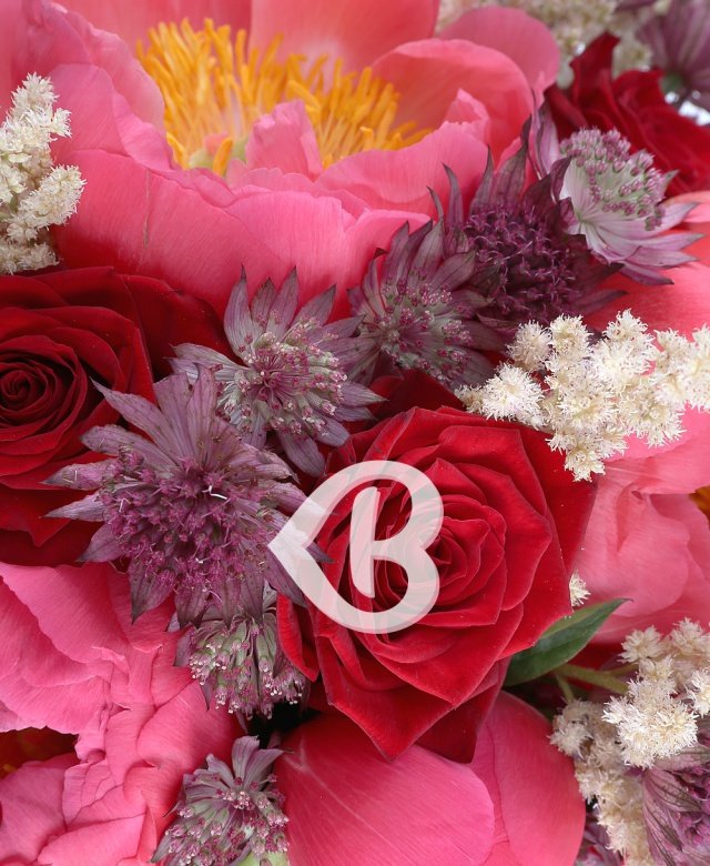 Imaginea produsului Calea Fericirii