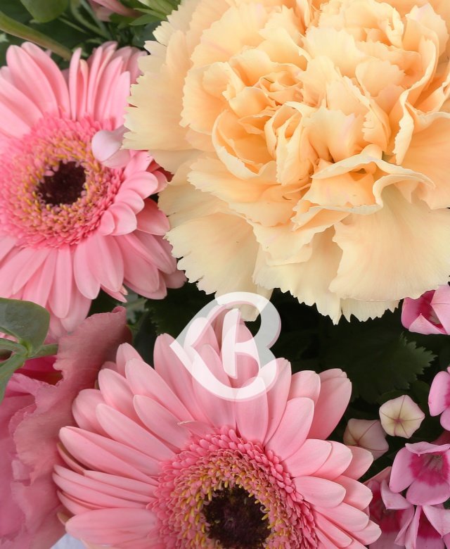 Imaginea produsului A înflorit O Melodie