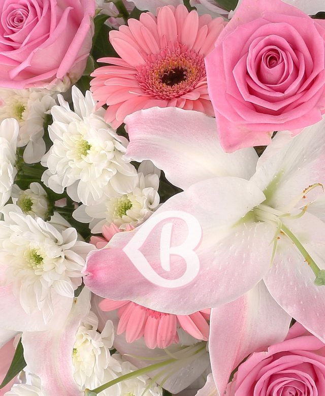 Imaginea produsului Nuanțe Rafinate