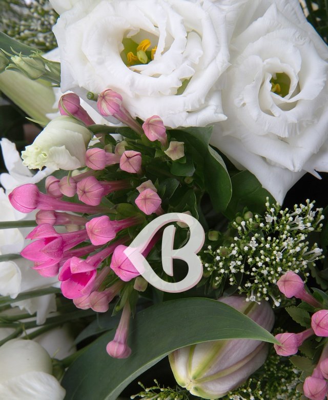 Imaginea produsului Efecte Speciale