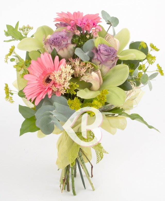 Imaginea produsului Ca Prin Vis