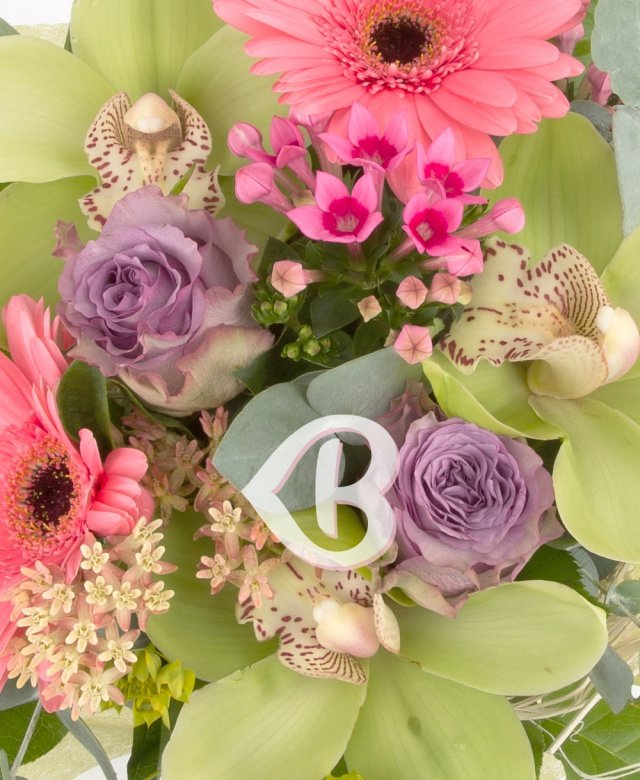 Imaginea produsului Ca Prin Vis