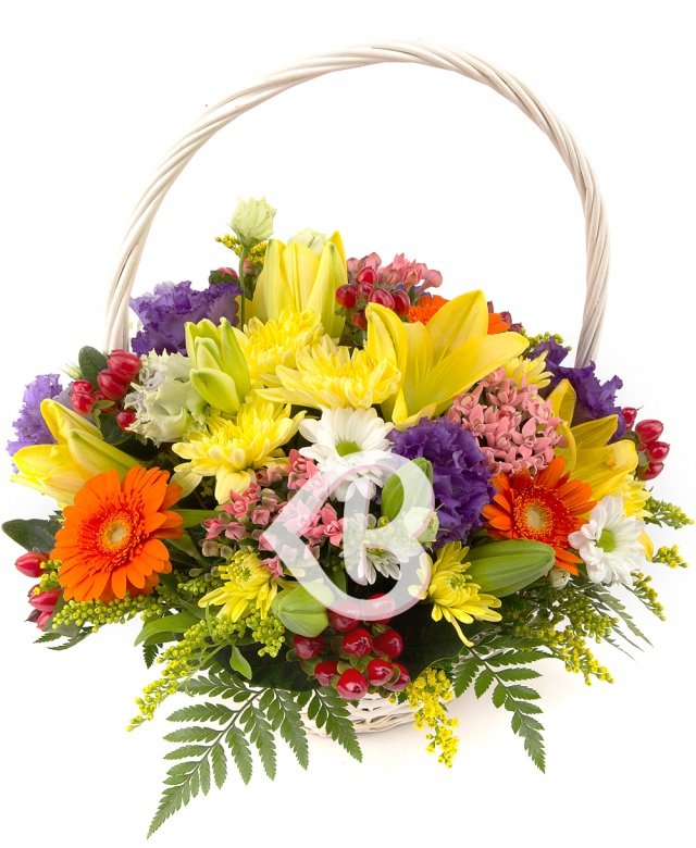 Imaginea produsului Coș ștrengar