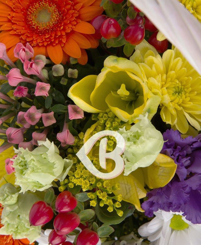 Imaginea produsului Coș ștrengar