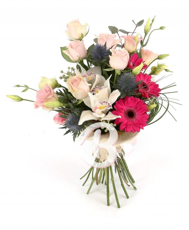 Imaginea produsului Liniştea Culorilor