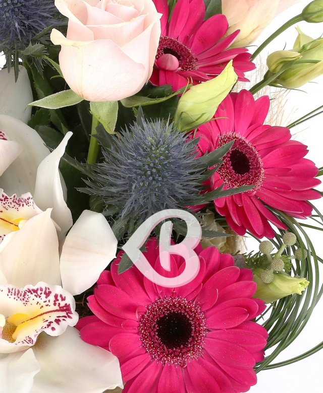 Imaginea produsului Liniştea Culorilor