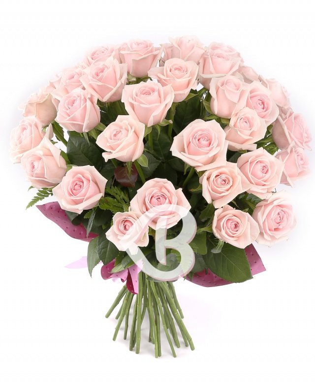 35 trandafiri roz