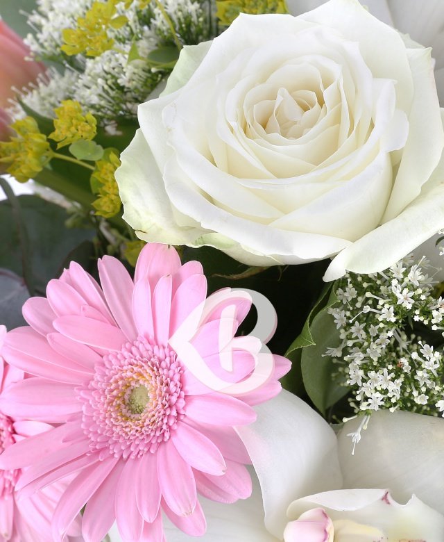 Parfum delicat