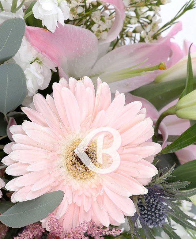 Imaginea produsului Liniște Luminoasă