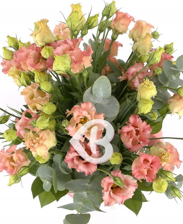 Imaginea produsului Freamătul Florilor