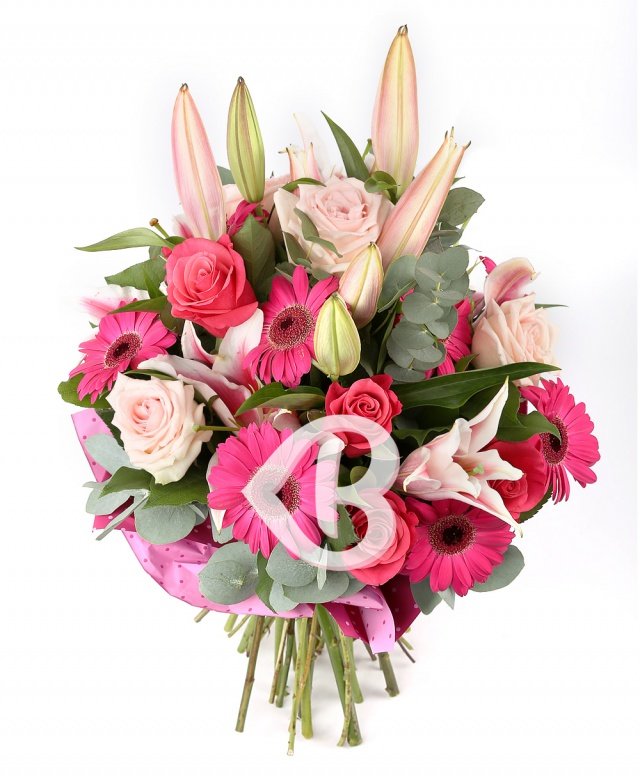 Imaginea produsului Puritate Sufletească