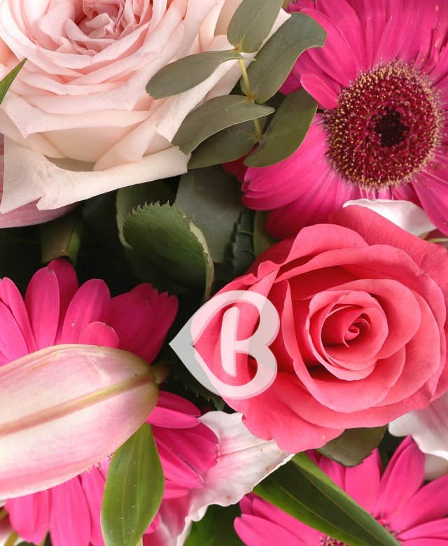 Imaginea produsului Puritate Sufletească