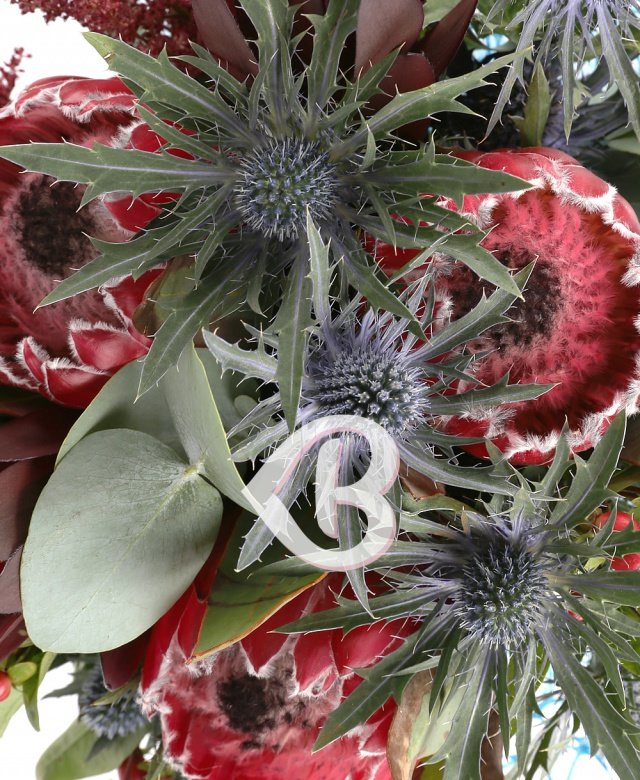 Imaginea produsului Dragoste Pură