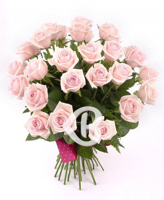 Imaginea produsului Apreciere Infinită