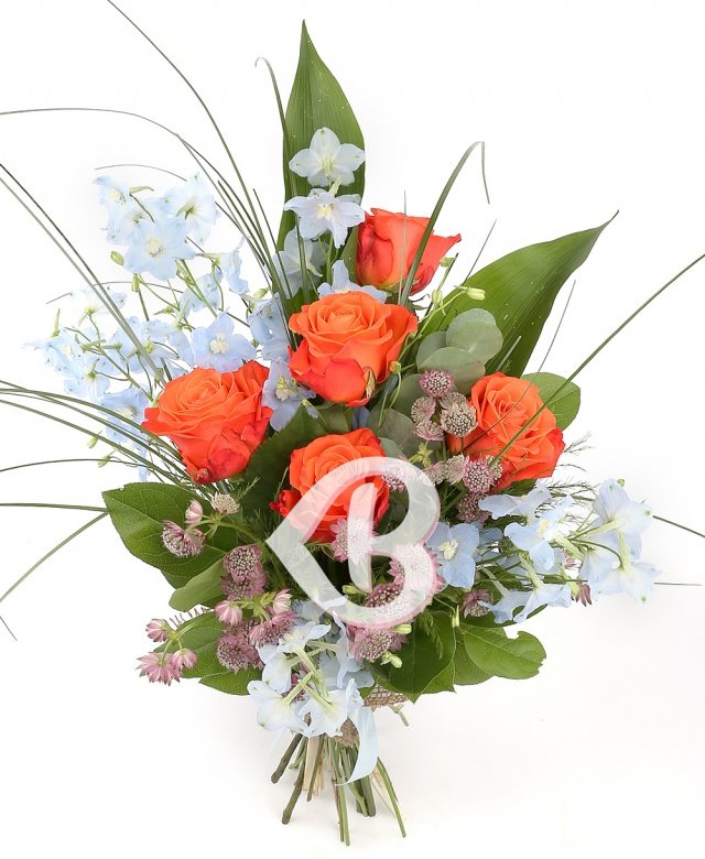 Imaginea produsului Nunațe Distinse