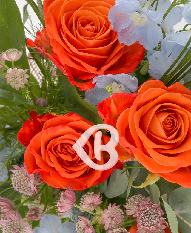 Imaginea produsului Nunațe Distinse