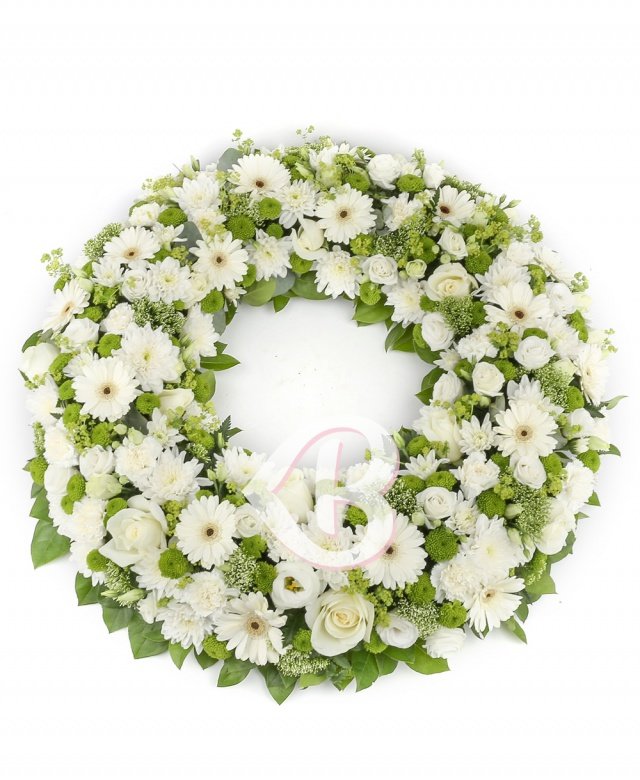 Colac alb multifloral