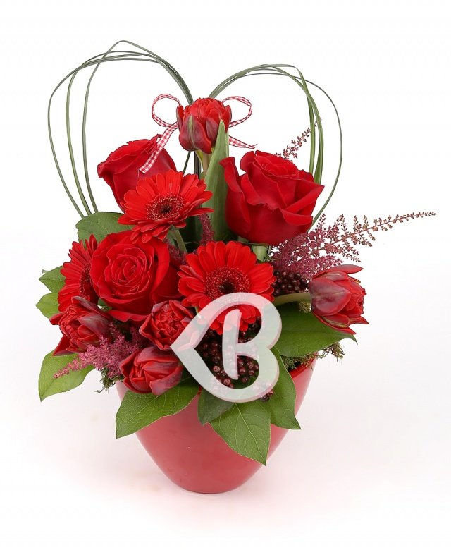 Imaginea produsului Iubire Elocventă