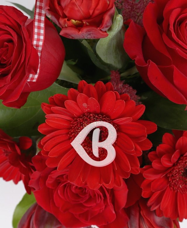 Imaginea produsului Iubire Elocventă