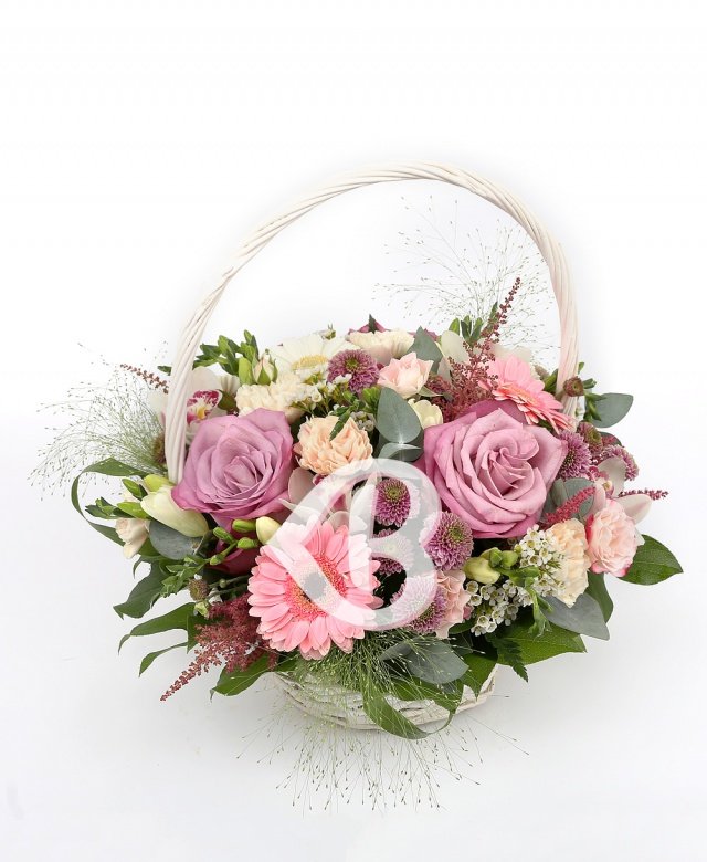 Imaginea produsului Impresii Plăcute