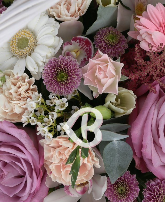 Imaginea produsului Impresii Plăcute