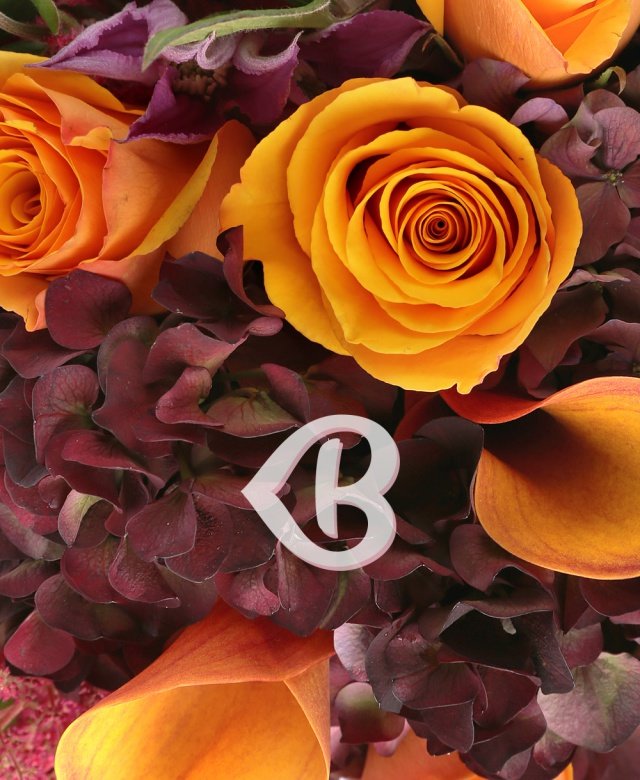 Imaginea produsului Spirit Artistic