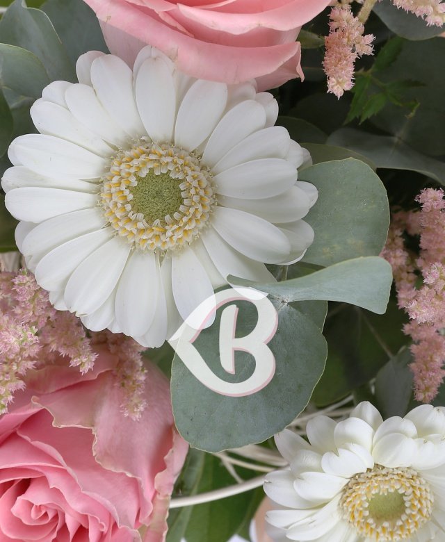 Imaginea produsului Surâs Magic