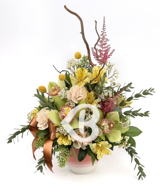 Imaginea produsului Devotament Cuceritor