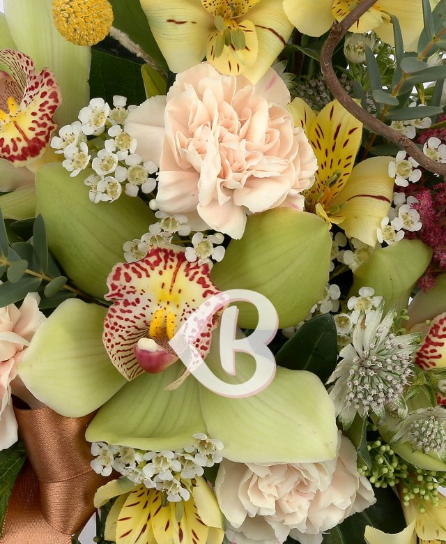 Imaginea produsului Devotament Cuceritor