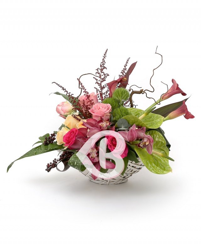 Imaginea produsului Adorație Inegalabilă