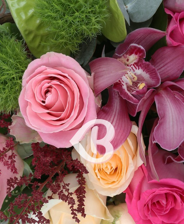 Imaginea produsului Adorație Inegalabilă