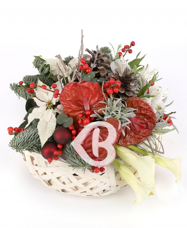 Imaginea produsului Sărbătoare Glorioasă