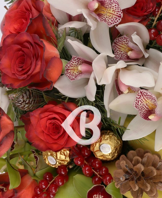 Imaginea produsului Secretele Belșugului