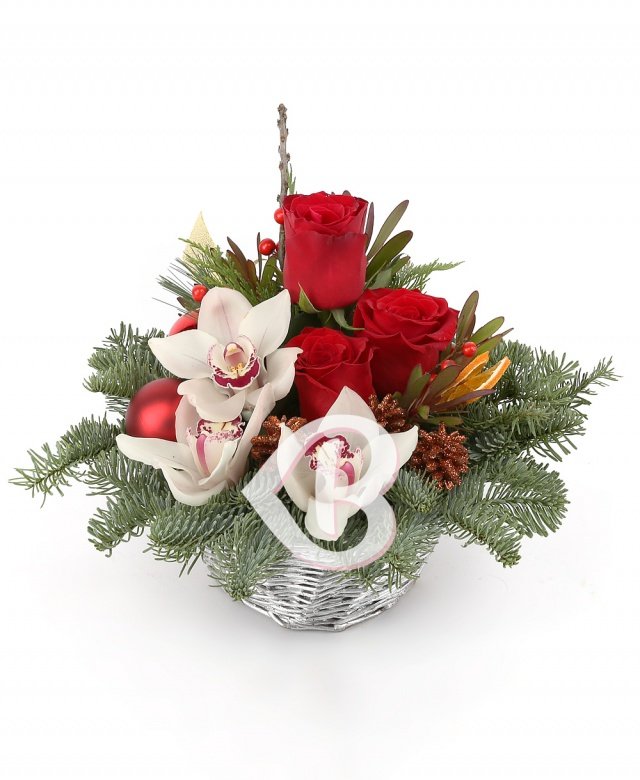 Imaginea produsului Culorile Crăciunului