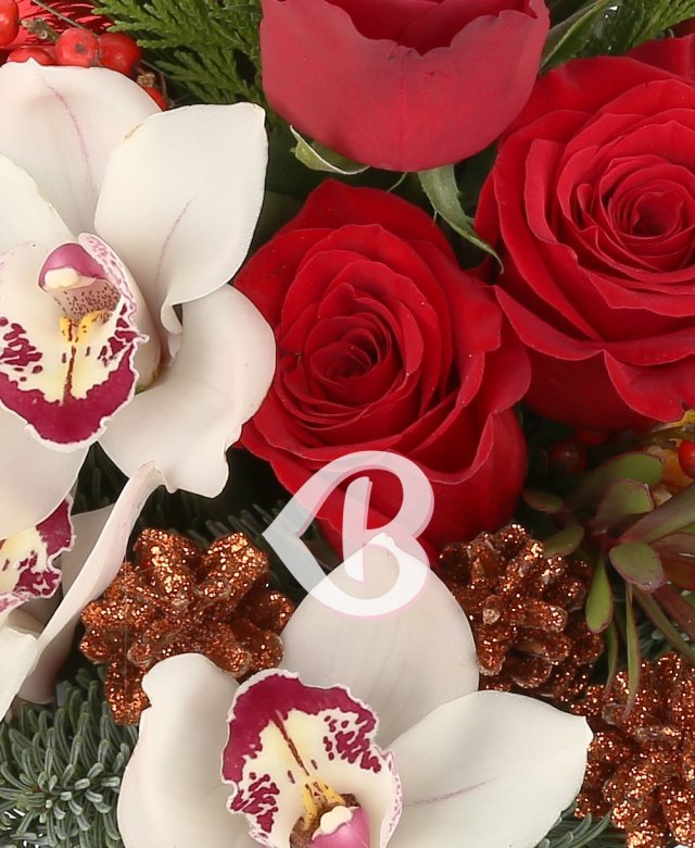 Imaginea produsului Culorile Crăciunului