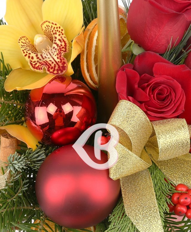 Imaginea produsului Magie Luminoasă