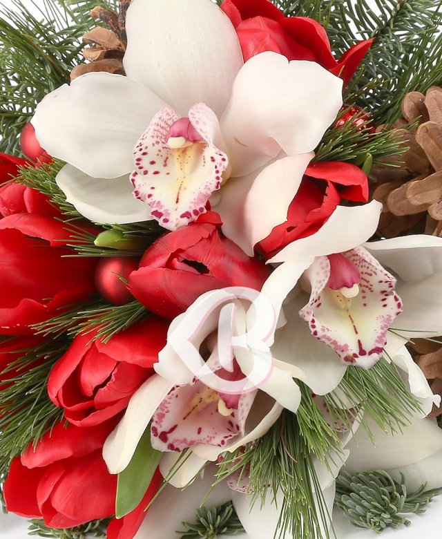 Imaginea produsului Perfecțiune Adorată