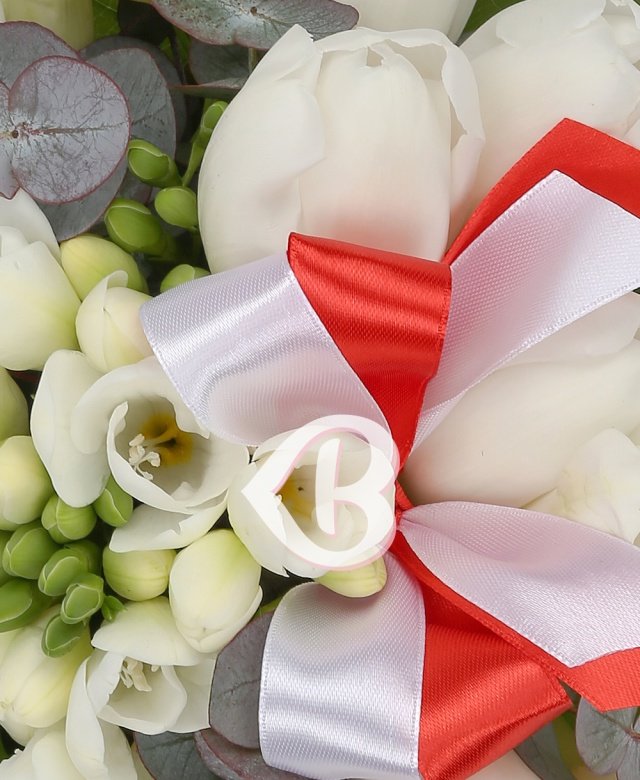 Imaginea produsului Adorație Adevărată