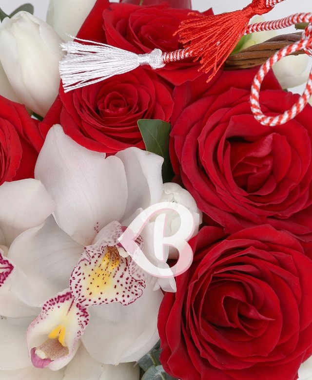 Imaginea produsului Apreciere Binevenită