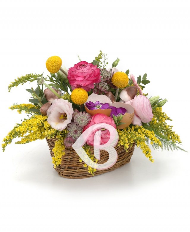 Imaginea produsului Favoare Colorată