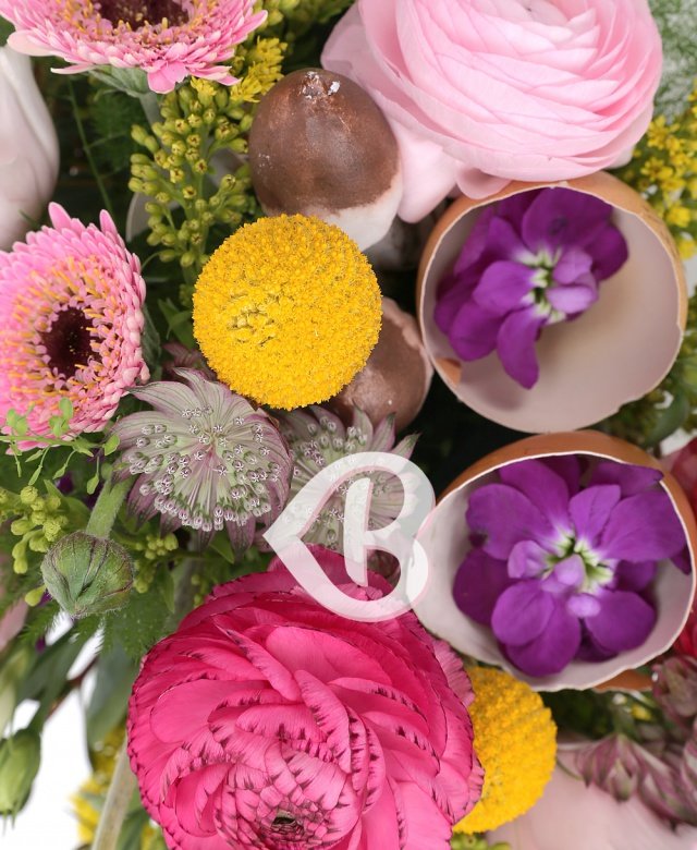 Imaginea produsului Favoare Colorată