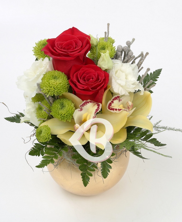 Imaginea produsului Zâmbet Protector