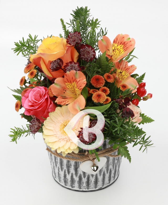 Imaginea produsului Surâs Minunat