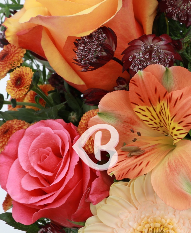 Imaginea produsului Surâs Minunat