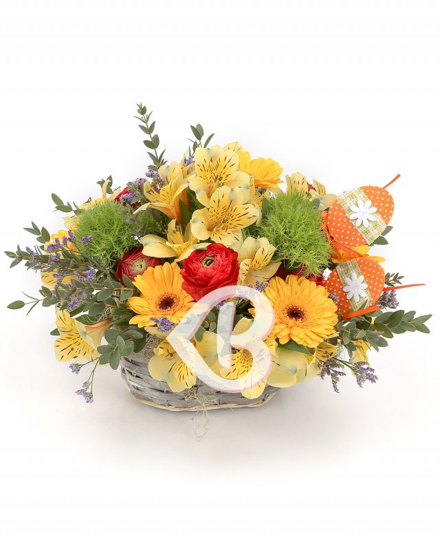 Imaginea produsului Prietenie Aurită